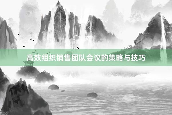 高效组织销售团队会议的策略与技巧